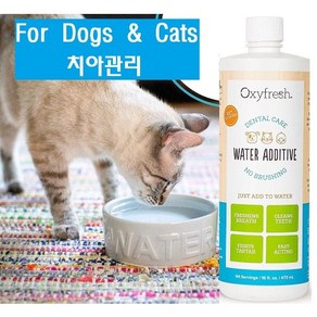 Oxyfesh 강아지 고양이 치석 구취 구내염 예방 덴탈 젤치약 덴탈워터 첨가제, 덴탈워터-473ml, 1개