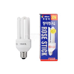 포커스 장미전구 삼파장 EL 30W, 주광색, 1개