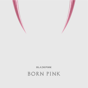 개봉앨범 포토카드 없음 | 블랙핑크 (BLACKPINK) - 2nd ALBUM BORN PINK KiT ALBUM