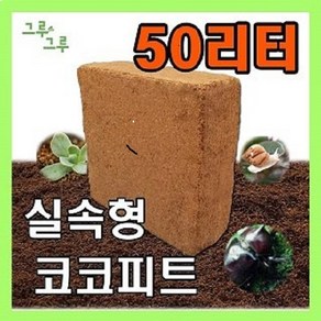 그루그루 압축 코코피트