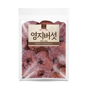 퓨어영 영지버섯 500g 영지버섯차, 1개