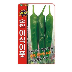 순한 아삭이풋 고추 (오이맛고추) 씨앗, 1개