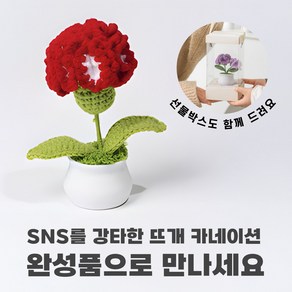 [상상한스푼 카네이션] 완성품 핸드메이드 손뜨개 뜨개질 카네이션, 레드 그라데이션, 1개