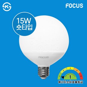 포커스 LED 볼전구 G110 15W E26 에너지효율 1등급, 숏타입, 전구색, 1개