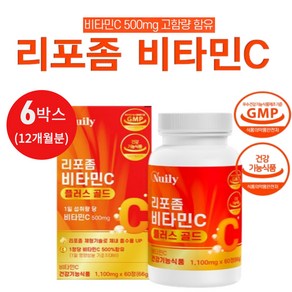 뉴일리 리포좀비타민C 고함량 비타민C 500mg 고품질 온가족 필수영양소 1100mgx60정, 6개, 60정