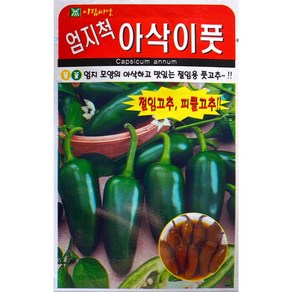 엄지아삭이풋고추 절임고추 피클고추 고추씨앗 50립, 1개