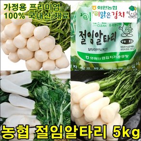 해남 농협 절임알타리 5kg 신안소금, 1개