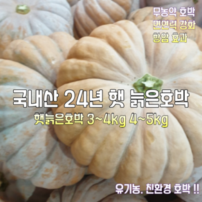 [산지직송] 국내산 자연산 24년 고당도 햇 늙은호박 3~4kg 4~5kg 1박스