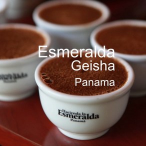 [위트러스트] 파나마 에스메랄다 게이샤 500g Panama Geisha 스페셜티 커피 원두, 홀빈, 1개