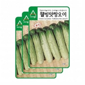 아시아종묘 씨앗 오이 웰빙맛짱오이 40립 3ea, 3개