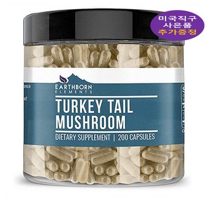 어쓰본 터키테일 머쉬룸 200정 Tukey Tail Mushoom 사은품 추가 증정, 1개