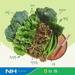 만인산농협 당일채취 당일발송하여 더 신선한 삼겹살용 모듬쌈 400g, 1개