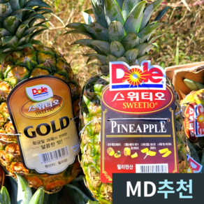 [필리핀 스위티오] 고당도 파인애플 pine apple 1kg 2kg 3kg, 1박스, 스위티오 파인애플 1수(1.3kg 내외)