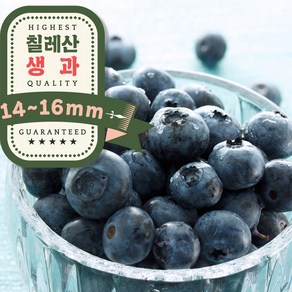 오라밀 고당도 생 블루베리, 1박스, 750g(125g 6개)