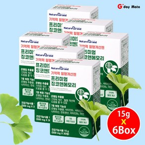 기억력 혈행개선 은행잎 추출물 혈액순환도움 징코앤메모리 50mg [그다이마잇]