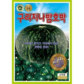 세인화분 블랙밤 단호박 10립 - 호박 씨 씨앗, 1개