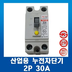 태성전기 산업용 누전차단기 TCE 32h-2P 30A, 1개