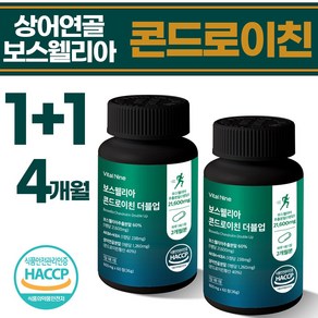 제이케이랩 보스웰리아 상어연골 콘드로이친 더블업 식약청 HACCP 600mg, 2개, 60정