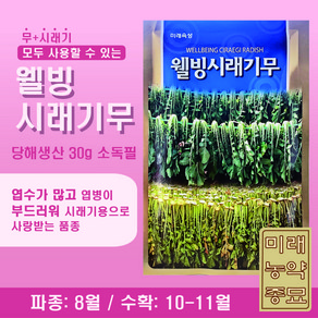 웰빙시래기무 씨앗 30g