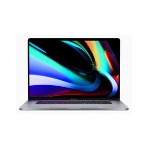 애플 APPLE 2019 맥북프로16 MVVK2KH/A ( i9-9880H 16GB SSD 1TB), 스페이스 그레이, 1TB, MAC OS