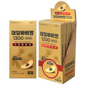 대일 빠삐방 1300 자석파스 의료용자기발생기 자기장 파스, 1세트, 5개입