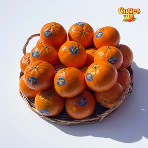 고당도 미국산 만다린귤, 1개, 5kg