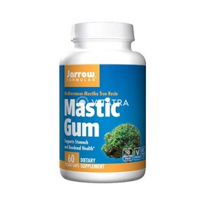 자로우 포뮬러스 매스틱 검 Jarrow Formulas Mastic Gum 1000mg 60정