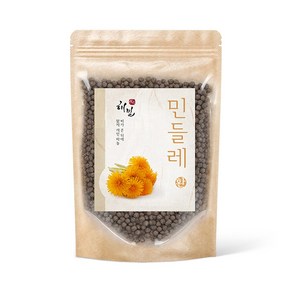 해밀 민들레환 300g, 1개