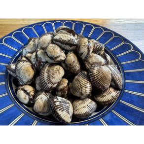 [당일수확] 속이 꽉찬 탱글탱글 벌교 꼬막 2kg, 1개, 탱글탱글 벌교꼬막 2kg(상)