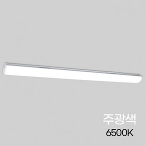 비츠온 주차장등 LED 80W 주광 1200 KS