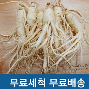 [실속인삼]] 햇인삼 금산 세척삼 수삼(200g)7-9뿌리 난발파삼, 1개