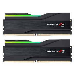 G.SKILL DDR5-5200 CL40 TRIDENT Z5 RGB J 패키지 32GB(16Gx2)