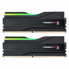 G.SKILL DDR5-6000 CL40 TRIDENT Z5 RGB J 패키지 (48GB(24Gx2))