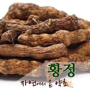 황정 중국산 300g, 1개