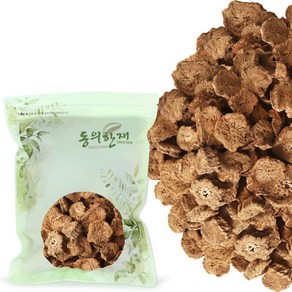 동의한재 국산 볶은 우엉차 우엉볶음, 500g, 1개