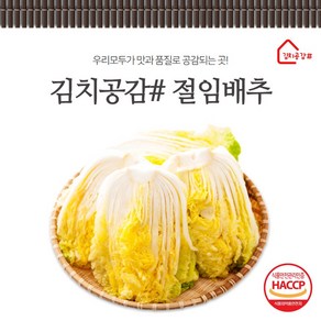 김치공감# (당일생산)(당일발송) haccp인증 명품 절임배추 1kg