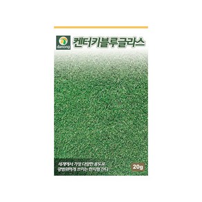 (DN) 켄터키블루그라스잔디 씨앗(20g), 1개