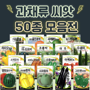 호박 단호박 수박 오이 씨앗 종자 50종 수세미 방울 토마토 파프리카 씨앗 여주 종자, 45. 할로윈흰호박(화이트) 10립, 1개