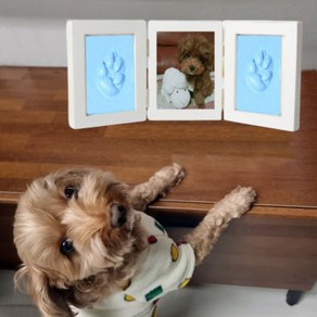 [당일발송]TOP셀러 강아지발도장 반려동물 강아지 고양이 발도장 발자국 찍기 DIY 기념 장식 장례용품, 라이트블루(3단), 1개