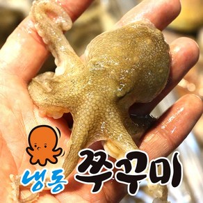 국산 서해안 산지직송 생물 활 쭈꾸미 알쭈꾸미 1kg 냉동 주꾸미 1kg, 5. 냉동 쭈꾸미 2kg, 1개