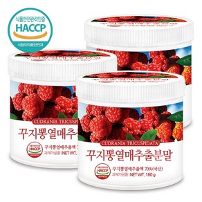 푸른들판 국산 꾸지뽕 열매 분말, 3개, 160g