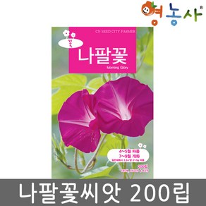 나팔꽃 중포장 씨앗 200립, 나팔꽃중포장, 1개