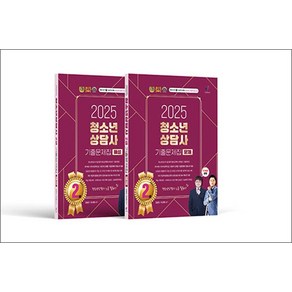 2025 청소년상담사 2급 필기 기출문제집 세트 문제편 + 해설편 (전2권), 나눔BOOK(인성재단)