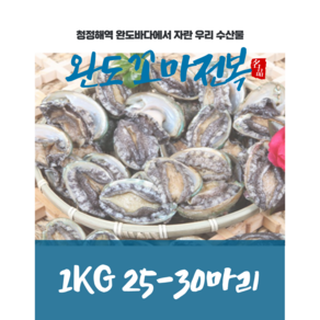 완도전복 1kg 25-30마리 실속형(소) (생산자직송), 1개