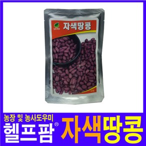 헬프팜 자색땅콩 50립 씨앗 성우종묘 종자, 1개