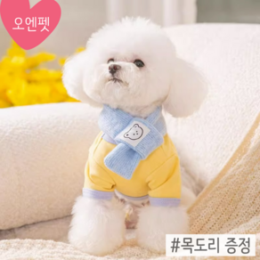 오엔펫 강아지 고양이 외출복 배색 티셔츠 목도리 세트 (+목도리증정), 옐로우, 1개