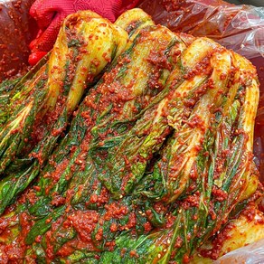 농가살리기 주미겸 단배추 포기김치 (얼갈이), 1박스, 4kg