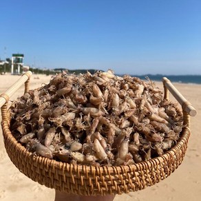 국산 꼴뚜기 300g 상급 건꼴뚜기 마른꼴뚜기 건어물, 1개