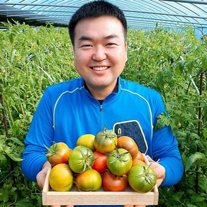 (람이네) 재구매 많은 대저 짭짤이 토마토 2.5kg, 1박스, 프리미엄짭짤이(M과)