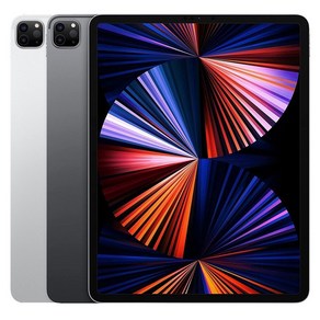 Apple 아이패드 프로 12.9 5세대 M1칩, 스페이스 그레이, 1024GB, Wi-Fi